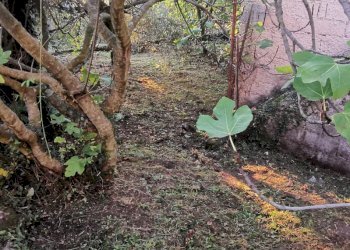 Casa indipendente via chiaia, 29, Pesche - foto 49