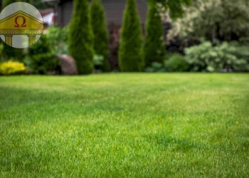 Foto 1 - Terreno edificabile Ponzano Veneto - foto 1