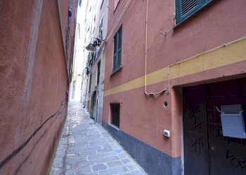 VICO PIUMA - Magazzino VICO PIUMA
 
15 rosso, Genova - foto 26