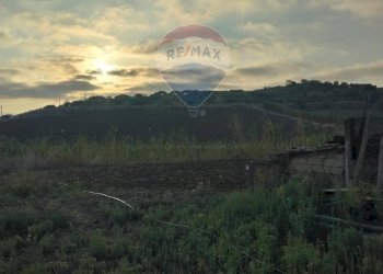 Vista delle montagne - Terreno agricolo Contrada Isola Sottano
snc, San Michele di Ganzaria - foto 36