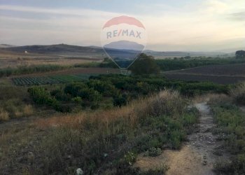Vista delle montagne - Terreno agricolo Contrada Isola Sottano
snc, San Michele di Ganzaria - foto 37