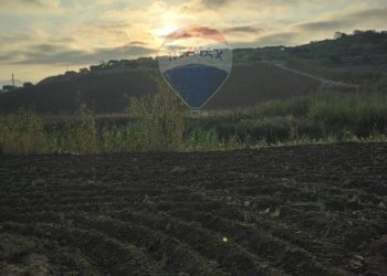 Vista delle montagne - Terreno agricolo Contrada Isola Sottano
snc, San Michele di Ganzaria - foto 38