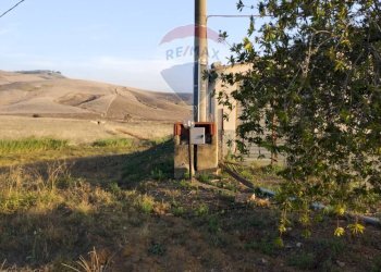 Giardino - Rustico Contrada Isola Sottano
 
snc, San Michele di Ganzaria - foto 30