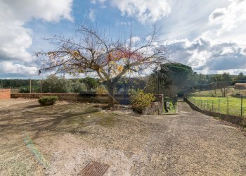 Giardino - Casa semi indipendente Contrada Frattulla
 
snc, Piazza Armerina - foto 5