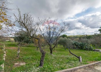 Giardino - Casa semi indipendente Contrada Frattulla
 
snc, Piazza Armerina - foto 48