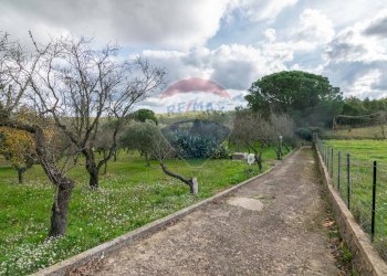 Giardino - Casa semi indipendente Contrada Frattulla
 
snc, Piazza Armerina - foto 49