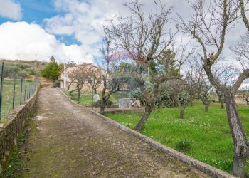 Giardino - Casa semi indipendente Contrada Frattulla
 
snc, Piazza Armerina - foto 51