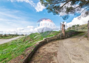 Giardino - Casa semi indipendente Contrada Frattulla
 
snc, Piazza Armerina - foto 54