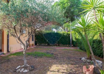 Giardino - Casa semi indipendente Via Sacerdote Messina
 
10, Aci Sant'Antonio - foto 4