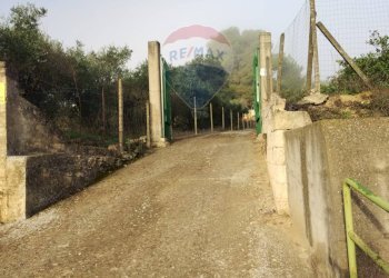 Giardino - Villa Contrada Regalsemi
 
snc, Caltagirone - foto 5