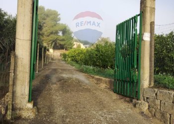Giardino - Villa Contrada Regalsemi
 
snc, Caltagirone - foto 6