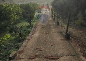 Non correlato - Villa Contrada Regalsemi
 
snc, Caltagirone - foto 26