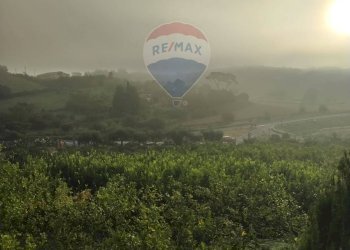 Vista delle montagne - Villa Contrada Regalsemi
 
snc, Caltagirone - foto 28