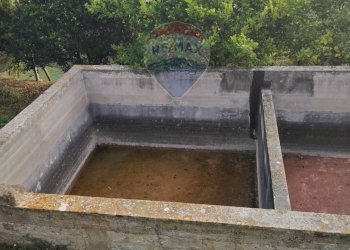 Giardino - Villa Contrada Regalsemi
 
snc, Caltagirone - foto 40