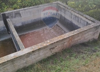 Giardino - Villa Contrada Regalsemi
 
snc, Caltagirone - foto 44