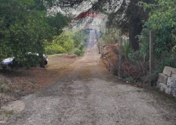 Giardino - Villa Contrada Regalsemi
 
snc, Caltagirone - foto 45