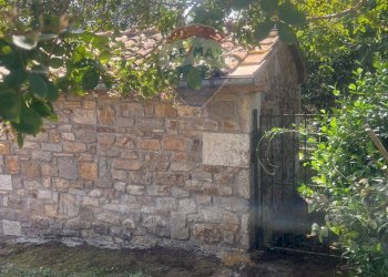 Giardino - Rustico Località Poderi di Sotto
 
snc, Manciano - foto 23