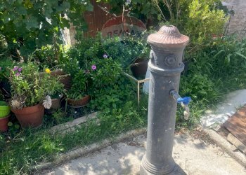 Giardino - Rustico Località Poderi di Sotto
 
snc, Manciano - foto 24