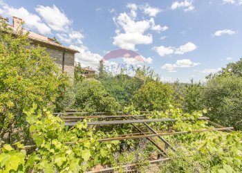 Giardino - Rustico Località Poderi di Sotto
 
snc, Manciano - foto 25
