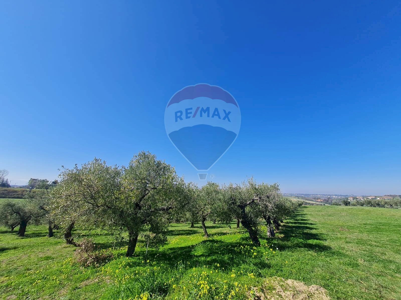 Giardino - Terreno edificabile Francavilla al Mare - foto 2