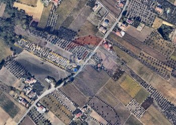 Posizione della mappa - Terreno edificabile Francavilla al Mare - foto 1