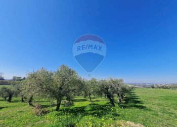 Giardino - Terreno edificabile Francavilla al Mare - foto 2