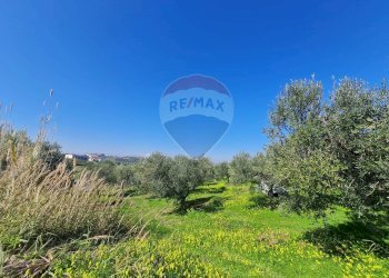 Giardino - Terreno edificabile Francavilla al Mare - foto 3