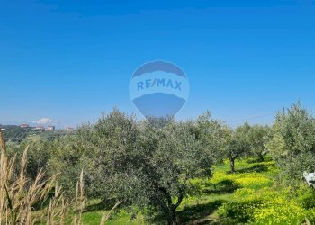 Giardino - Terreno edificabile Francavilla al Mare - foto 4