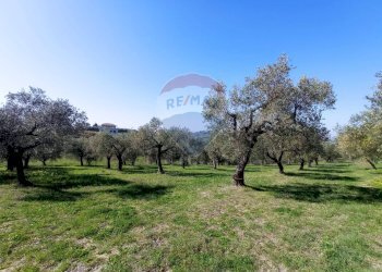 Giardino - Terreno edificabile Francavilla al Mare - foto 8