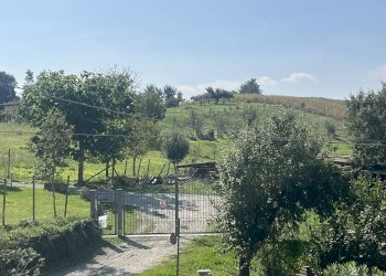 Foto 13 - Rustico Casa Paletti
 
snc, Alfiano Natta - foto 13