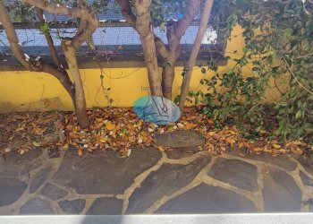 Foto 2 - Casa indipendente bertni, Viareggio - foto 2