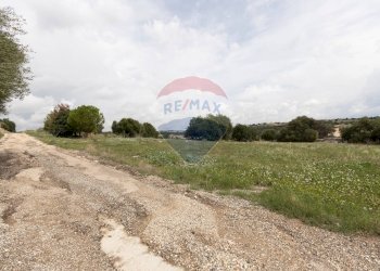 Giardino - Villa c.da Nora Piano Lauro
 
snc, Modica - foto 6
