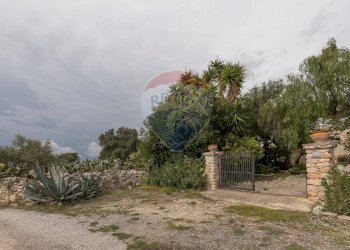 Giardino - Villa c.da Nora Piano Lauro
 
snc, Modica - foto 8