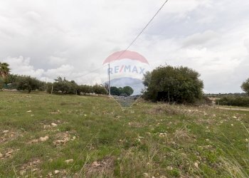 Giardino - Villa c.da Nora Piano Lauro
 
snc, Modica - foto 11