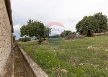 Giardino - Villa c.da Nora Piano Lauro
 
snc, Modica - foto 12