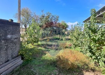 Giardino - Independent house Contrada Bosco Rotondo sp 5
 
s.n, Vittoria - photo 3