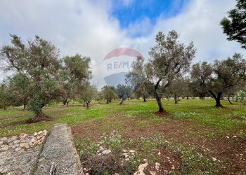 Giardino - Baita Contrada Madonna Piccola
 
snc, Ceglie Messapica - foto 11