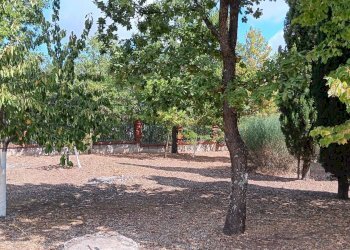 Foto 1 - Casa indipendente contrada Grotte, Nusco - foto 1