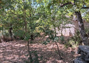 Foto 10 - Casa indipendente contrada Grotte, Nusco - foto 10