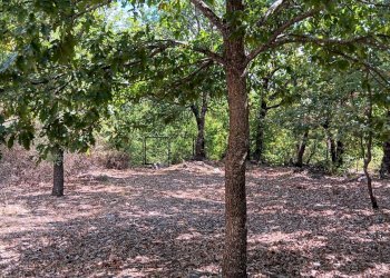 Foto 12 - Casa indipendente contrada Grotte, Nusco - foto 12