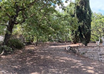 Foto 14 - Casa indipendente contrada Grotte, Nusco - foto 14