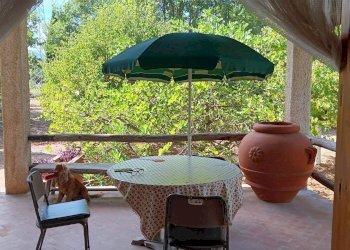 Foto 41 - Casa indipendente contrada Grotte, Nusco - foto 41