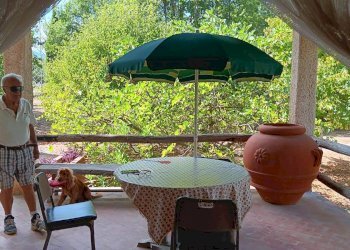 Foto 42 - Casa indipendente contrada Grotte, Nusco - foto 42