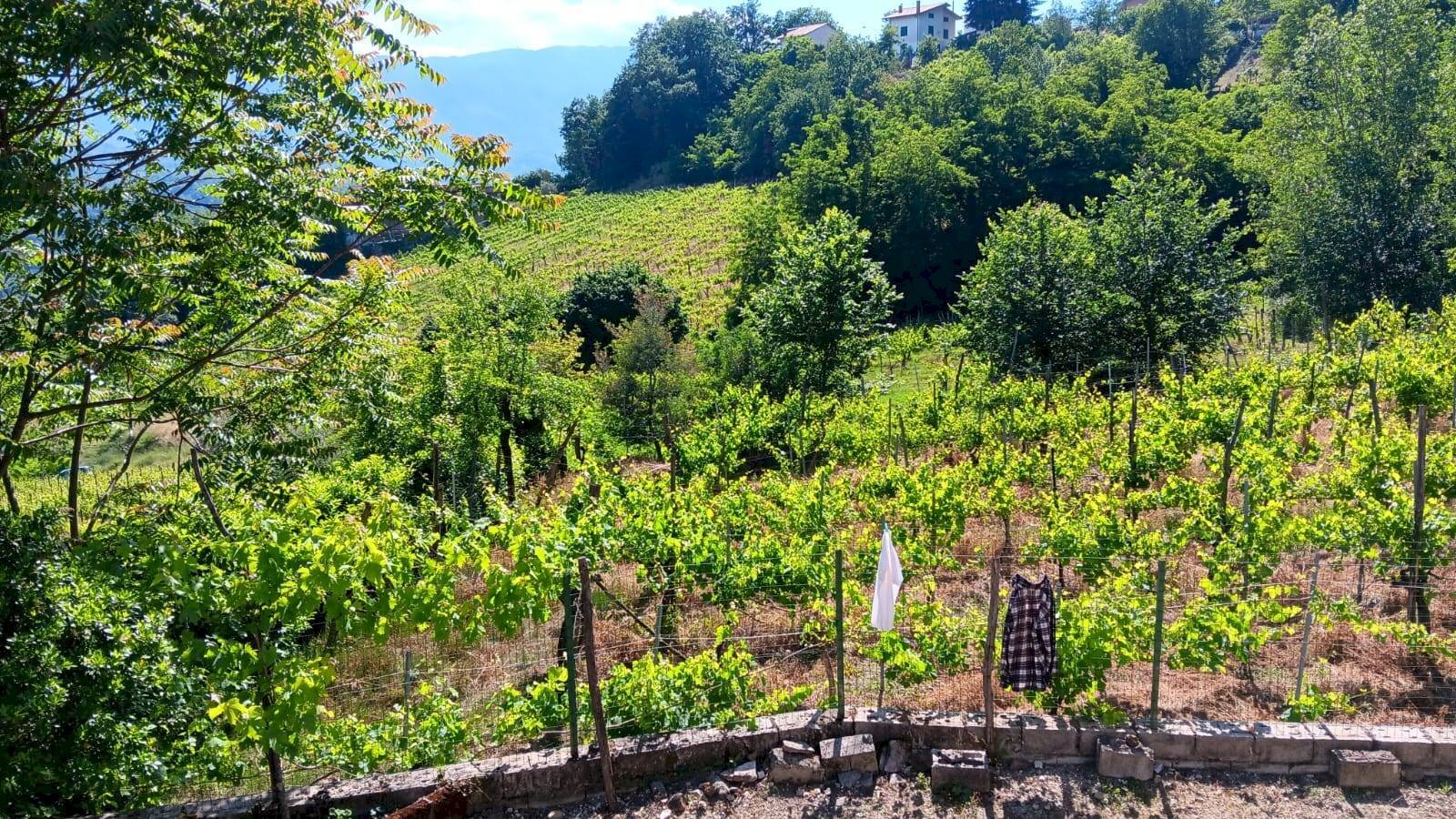 Foto 2 - Independent house contrada bosco, Tufo - photo 2