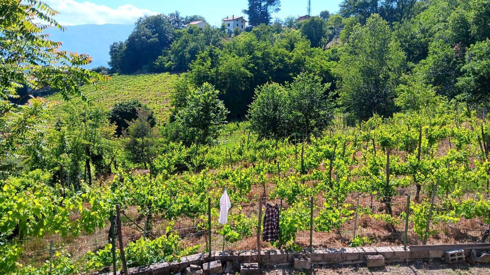 Foto 3 - Independent house contrada bosco, Tufo - photo 3