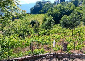 Foto 2 - Casa indipendente contrada bosco, Tufo - foto 2