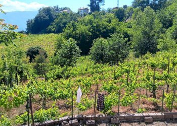 Foto 3 - Casa indipendente contrada bosco, Tufo - foto 3