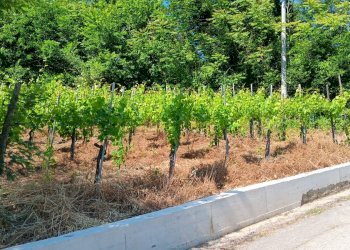 Foto 11 - Casa indipendente contrada bosco, Tufo - foto 11