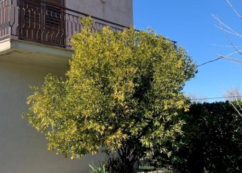 Foto 27 - Villa via tenente nicola vitale
 
9, San Michele di Serino - foto 27