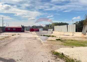 Giardino - Capannone Complanare Ovest San Giorgio, Bari - foto 3